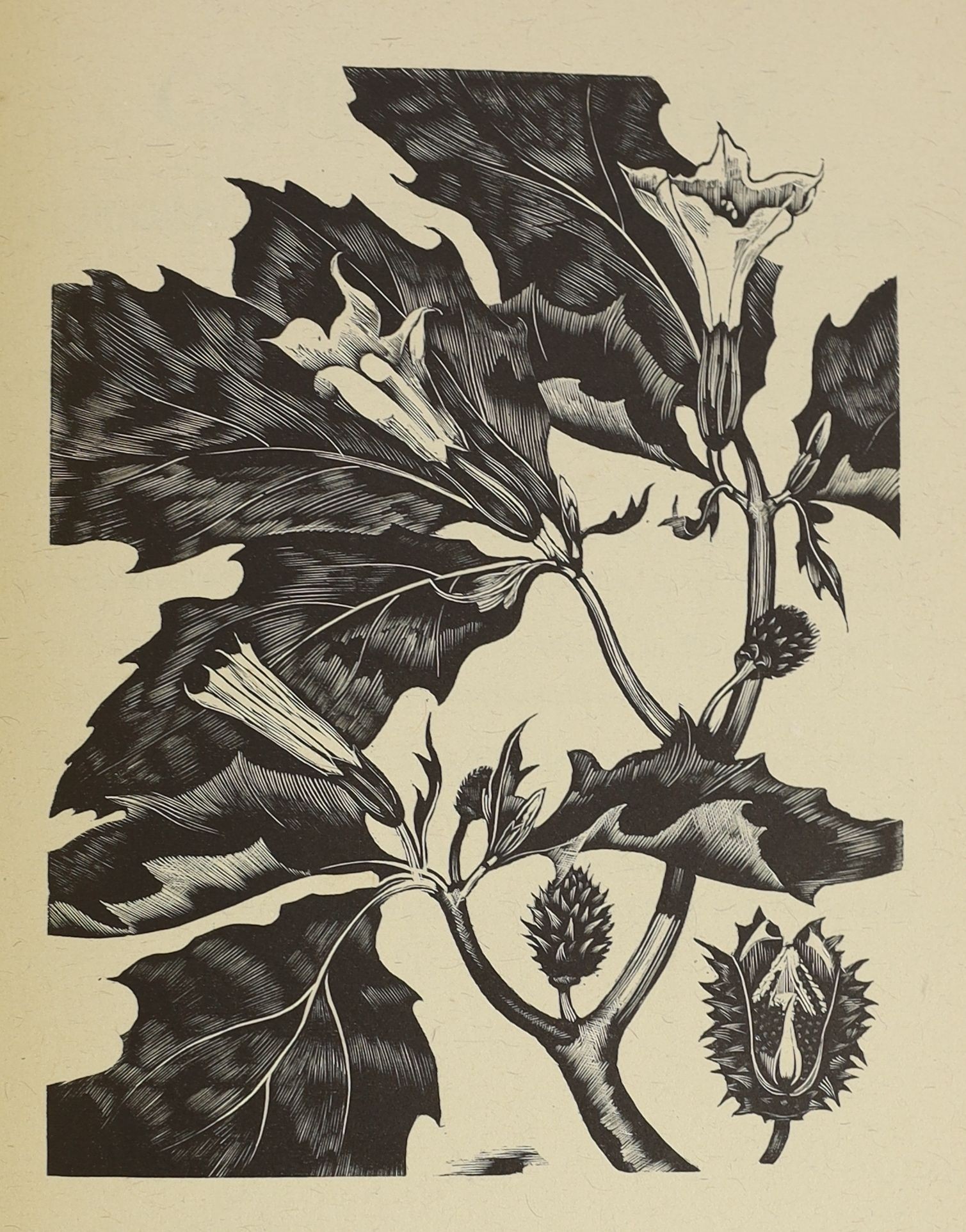 Dallimore, W. And Nash, John- Haslewood Books. Poisonous Plants Deadly, Dangerous and Suspect. Limited edition, one of 350. Complete with 20 woodcut engraved plates by John Nash. Original cloth with gilt pictorial to upp